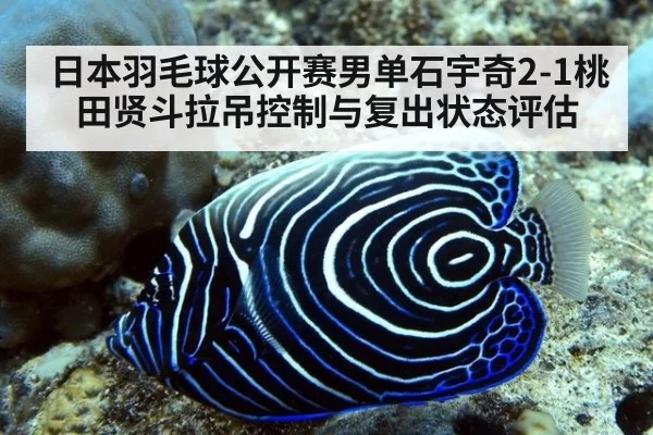 日本羽毛球公开赛男单石宇奇2-1桃田贤斗拉吊控制与复出状态评估