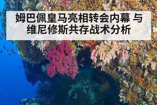 姆巴佩皇马亮相转会内幕 与维尼修斯共存战术分析